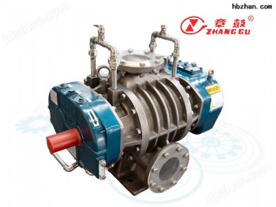 VR系列水蒸汽罗茨压缩机