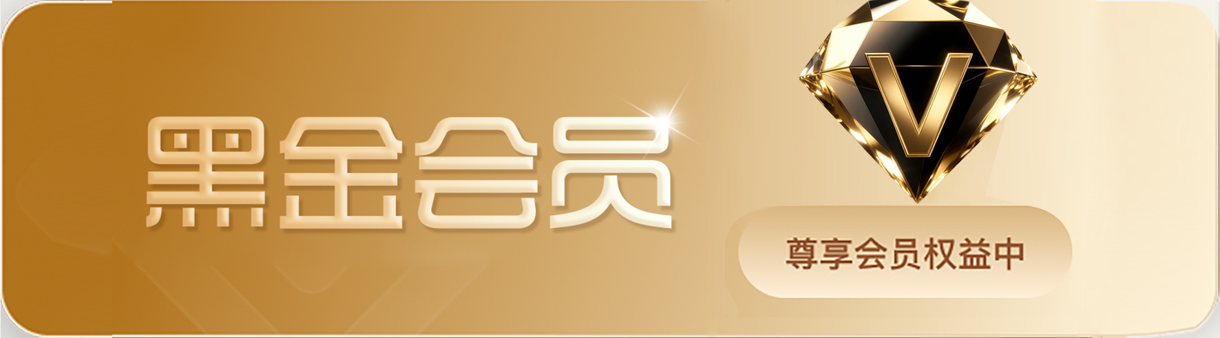 黑金会员